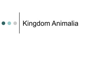 Kingdom Animalia
 