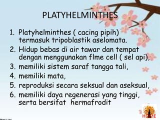 PLATYHELMINTHES
1. Platyhelminthes ( cacing pipih)
termasuk tripoblastik aselomata.
2. Hidup bebas di air tawar dan tempat
dengan menggunakan flme cell ( sel api),
3. memiliki sistem saraf tangga tali,
4. memiliki mata,
5. reproduksi secara seksual dan aseksual,
6. memiliki daya regenerasi yang tinggi,
serta bersifat hermafrodit
HOME

 
