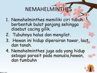NEMAHELMINTHES
1. Nemahelminthes memiliki ciri tubuh
berbentuk bulat panjang sehingga
disebut cacing gilik.
2. Tubuhnya halus dan mengilat.
3. Hewan ini hidup diperairan tawar, laut,
dan tanah.
4. Nemahelminthes juga ada yang hidup
sebagai parasit pada manusia,hewan,
dan tumbuhn
HOME

 