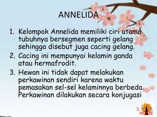 ANNELIDA
1. Kelompok Annelida memiliki ciri utama
tubuhnya bersegmen seperti gelang
sehingga disebut juga cacing gelang.
2. Cacing ini mempunyai kelamin ganda
atau hermafrodit.
3. Hewan ini tidak dapat melakukan
perkawinan sendiri karena waktu
pemasakan sel-sel kelaminnya berbeda.
Perkawinan dilakukan secara konjugasi
HOME

 
