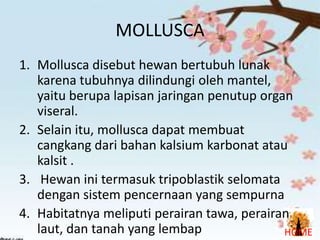 MOLLUSCA
1. Mollusca disebut hewan bertubuh lunak
karena tubuhnya dilindungi oleh mantel,
yaitu berupa lapisan jaringan penutup organ
viseral.
2. Selain itu, mollusca dapat membuat
cangkang dari bahan kalsium karbonat atau
kalsit .
3. Hewan ini termasuk tripoblastik selomata
dengan sistem pencernaan yang sempurna
4. Habitatnya meliputi perairan tawa, perairan
laut, dan tanah yang lembap
HOME

 
