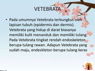 VETEBRATA
• Pada umumnya Vetebrata terbungkus oleh
lapisan tubuh (epidermis dan dermis).
Vetebrata yang hidup di darat biasanya
memiliki kulit menanduk dan memiliki tulang.
Pada Vetebrata tingkat rendah endoskeleton
berupa tulang rawan. Adapun Vetebrata yang
sudah maju, endeskleton berupa tulang keras

HOME

 