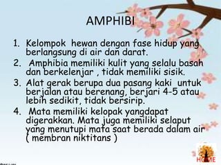 AMPHIBI
1. Kelompok hewan dengan fase hidup yang
berlangsung di air dan darat.
2. Amphibia memiliki kulit yang selalu basah
dan berkelenjar , tidak memiliki sisik.
3. Alat gerak berupa dua pasang kaki untuk
berjalan atau berenang, berjari 4-5 atau
lebih sedikit, tidak bersirip.
4. Mata memiliki kelopak yangdapat
digerakkan. Mata juga memiliki selaput
yang menutupi mata saat berada dalam air
( membran niktitans )
HOME

 