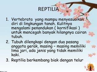REPTILIA
1. Vertebrata yang mampu menyesuaikan
diri di lingkungan tanah. Kulitnya
mengalami penandukan ( kornifikasi )
untuk mencegah banyak hilangnya cairan
tubuh.
2. Tubuh dilengkapi dengan dua pasang
anggota gerak, masing – masing memiliki
lima jari, ada jenis yang tidak memiliki
kaki.
3. Reptilia berkembang biak dengan telur
HOME

 