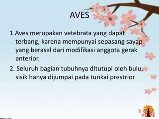 AVES
1.Aves merupakan vetebrata yang dapat
terbang, karena mempunyai sepasang sayap
yang berasal dari modifikasi anggota gerak
anterior.
2. Seluruh bagian tubuhnya ditutupi oleh bulu,
sisik hanya dijumpai pada tunkai prestrior

HOME

 
