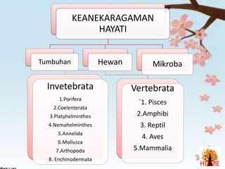 KEANEKARAGAMAN
HAYATI
Tumbuhan

Hewan

Mikroba

Invetebrata

Vertebrata

1.Porifera

`1. Pisces

2.Coelenterata
3.Platyhelminthes

2.Amphibi

4.Nemahelminthes

3. Reptil

5.Annelida

4. Aves

6.Mollusca
7.Arthopoda
8. Enchinodermata

5.Mammalia
HOME

 