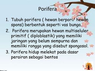 Porifera
1. Tubuh porifera ( hewan berpori/ hewan
spons) berbentuk seperti vas bunga.
2. Porifera merupakan hewan multiseluler
primitif ( diploblastik) yang memiliki
jaringan yang belum sempurna dan
memiliki rongga yang disebut spongosol.
3. Porifera hidup melekat pada dasar
perairan sebagai bentos
HOME

 