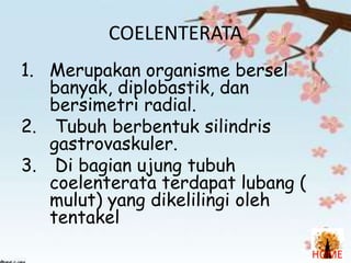 COELENTERATA
1. Merupakan organisme bersel
banyak, diplobastik, dan
bersimetri radial.
2. Tubuh berbentuk silindris
gastrovaskuler.
3. Di bagian ujung tubuh
coelenterata terdapat lubang (
mulut) yang dikelilingi oleh
tentakel
HOME

 
