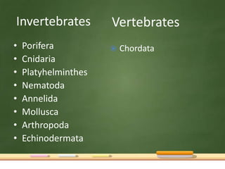 Invertebrates
•
•
•
•
•
•
•
•

Porifera
Cnidaria
Platyhelminthes
Nematoda
Annelida
Mollusca
Arthropoda
Echinodermata

Vert...