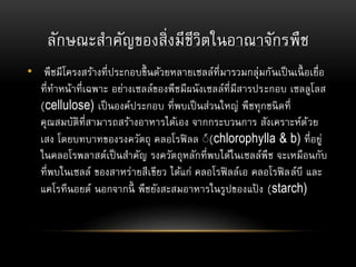 ลักษณะสาคัญของสิ่งมีชีวิตในอาณาจักรพืช
• พืชมีโครงสร้างที่ประกอบขึ้นด้วยหลายเซลล์ที่มารวมกลุ่มกันเป็นเนื้ อเยื่อ
ที่ทาหน้าที่เฉพาะ อย่างเซลล์ของพืชมีผนังเซลล์ที่มีสารประกอบ เซลลูโลส
(cellulose) เป็นองค์ประกอบ ที่พบเป็นส่วนใหญ่ พืชทุกชนิดที่
คุณสมบัติที่สามารถสร้างอาหารได้เอง จากกระบวนการ สังเคราะห์ด้วย
เสง โดยบทบาทของรงควัตถุ คลอโรฟิลล ์์(chlorophylla & b) ที่อยู่
ในคลอโรพลาสต์เป็นสาคัญ รงควัตถุหลักที่พบได้ในเซลล์พืช จะเหมือนกับ
ที่พบในเซลล์ ของสาหร่ายสีเขียว ได้แก่ คลอโรฟิลล์เอ คลอโรฟิลล์บี และ
แคโรทีนอยด์ นอกจากนี้ พืชยังสะสมอาหารในรูปของแป้ ง (starch)
 