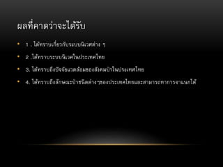 ผลที่คาดว่าจะได้รับ
• 1 . ได้ทราบเกี่ยวกับระบบนิเวศต่าง ๆ
• 2 .ได้ทราบระบบนิเวศในประเทศไทย
• 3. ได้ทราบถึงปัจจัยแวดล้อมของสังคมป่ าในประเทศไทย
• 4. ได้ทราบถึงลักษณะป่ าชนิดต่างๆของประเทศไทยและสามารถทาการจาแนกได้
 