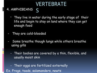 VERTEBRATE
S
4. AMPHIBIANS
- They live in water during the early stage of their
life and begin to stay on land where they can get
enough food
- They are cold-blooded
- Some breathe though lungs while others breathe
using gills
- Their bodies are covered by a thin, flexible, and
usually moist skin
- Their eggs are fertilized externally
Ex. Frogs, toads, salamanders, newts
 