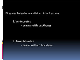 Kingdom Animalia are divided into 2 groups
1. Vertebrates
- animals with backbones
2. Invertebrates
- animal without backbone
 