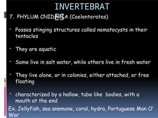 INVERTEBRAT
ES
7. PHYLUM CNIDARIA (Coelenterates)
- Posses stinging structures called nematocysts in their
tentacles
- They are aquatic
- Some live in salt water, while others live in fresh water
- They live alone, or in colonies, either attached, or free
floating
- characterized by a hallow, tube like bodies, with a
mouth at the end
Ex. Jellyfish, sea anemone, coral, hydra, Portuguese Man O’
War
 