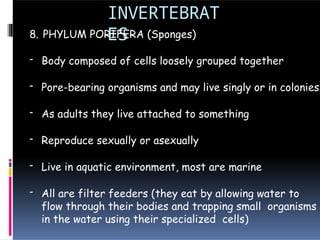 INVERTEBRAT
ES
8. PHYLUM PORIFERA (Sponges)
- Body composed of cells loosely grouped together
- Pore-bearing organisms and may live singly or in colonies
- As adults they live attached to something
- Reproduce sexually or asexually
- Live in aquatic environment, most are marine
- All are filter feeders (they eat by allowing water to
flow through their bodies and trapping small organisms
in the water using their specialized cells)
 