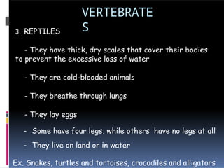 VERTEBRATE
S
3. REPTILES
- They have thick, dry scales that cover their bodies
to prevent the excessive loss of water
- They are cold-blooded animals
- They breathe through lungs
- They lay eggs
- Some have four legs, while others have no legs at all
- They live on land or in water
Ex. Snakes, turtles and tortoises, crocodiles and alligators
 