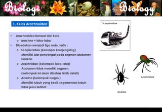 1. Kelas Arachnoidea                                Scorpionidae




•    Arachnoidea berasal dari kata
      o arachno = laba-laba
•    Dibedakan menjadi tiga ordo, yaitu :
      o Scorpionidae (kelompol kalajengking)
         Memiliki alat penyengat pada segmen abdomen
         terakhir.
      o Arachnidae (kelompok laba-laba)
         Abdomen tidak memiliki segmen.
         (kelompok ini akan dibahas lebih detail)
                                                                                 Arachnidae
      o Acarina (kelompok tungau)
         Memiliki tubuh yang kecil, segementasi tubuh
         tidak jelas terlihat.
                                                                       Acarina




                                                                                              6
 