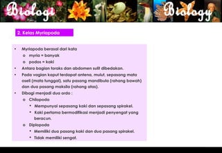 2. Kelas Myriapoda


•    Myriapoda berasal dari kata
      o myria = banyak
      o podos = kaki
•    Antara bagian toraks dan abdomen sulit dibedakan.
•    Pada vagian kaput terdapat antena, mulut, sepasang mata
     oseli (mata tunggal), satu pasang mandibula (rahang bawah)
     dan dua pasang maksila (rahang atas).
•    Dibagi menjadi dua ordo :
      o Chilopoda
          Mempunyai sepasang kaki dan sepasang spirakel.
          Kaki pertama bermodifikasi menjadi penyengat yang
           beracun.
      o Diplopoda
          Memiliki dua pasang kaki dan dua pasang spirakel.
          Tidak memiliki sengat.


                                                                  9
 