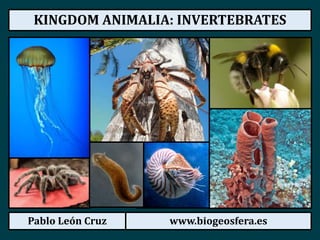 Pablo León Cruz www.biogeosfera.es
KINGDOM ANIMALIA: INVERTEBRATES
 