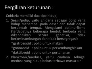 Pergiliran keturunan :
Cnidaria memiliki dua tipe hidup,
1. Sessil/polip, yaitu cnidaria sebagai polip yang
   hidup menempel pada dasar dan tidak dapat
   berpindah tempat. Mengalami polimorfisme
   (terdapatnya beberapa bentuk berbeda yang
   dikendalikan       secara    genetika,     tidak
   berkesinambungan dan tidak bersegregasi)
   *gastrozooid : polip untuk makan
   *gonozooid : polip untuk perkembangbiakan
   *daktilozoid : polip untuk pertahanan
2. Planktonik/medusa, yaitu cnidaria sebagai
   medusa yang hidup bebas terbawa massa air
 