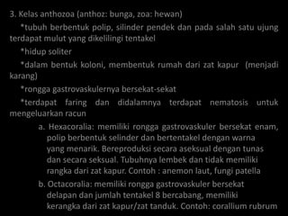 3. Kelas anthozoa (anthoz: bunga, zoa: hewan)
   *tubuh berbentuk polip, silinder pendek dan pada salah satu ujung
terdapat mulut yang dikelilingi tentakel
   *hidup soliter
   *dalam bentuk koloni, membentuk rumah dari zat kapur (menjadi
karang)
   *rongga gastrovaskulernya bersekat-sekat
   *terdapat faring dan didalamnya terdapat nematosis untuk
mengeluarkan racun
        a. Hexacoralia: memiliki rongga gastrovaskuler bersekat enam,
           polip berbentuk selinder dan bertentakel dengan warna
           yang menarik. Bereproduksi secara aseksual dengan tunas
           dan secara seksual. Tubuhnya lembek dan tidak memiliki
           rangka dari zat kapur. Contoh : anemon laut, fungi patella
        b. Octacoralia: memiliki rongga gastrovaskuler bersekat
           delapan dan jumlah tentakel 8 bercabang, memiliki
           kerangka dari zat kapur/zat tanduk. Contoh: corallium rubrum
 