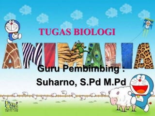 TUGAS BIOLOGI
Guru Pembimbing :
Suharno, S.Pd M.Pd
 