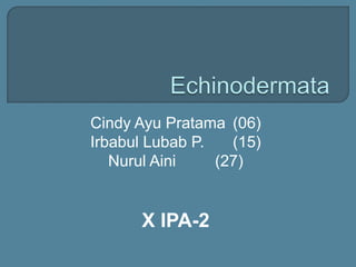 Cindy Ayu Pratama (06) 
Irbabul Lubab P. (15) 
Nurul Aini (27) 
X IPA-2 
 