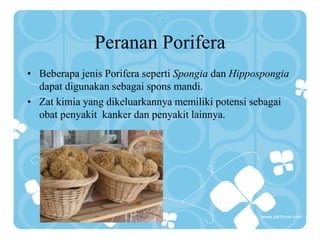 Peranan Porifera
• Beberapa jenis Porifera seperti Spongia dan Hippospongia
dapat digunakan sebagai spons mandi.
• Zat kimia yang dikeluarkannya memiliki potensi sebagai
obat penyakit kanker dan penyakit lainnya.
 
