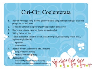 Ciri-Ciri Coelenterata
1. Hewan berongga yang disebut gastrovaskular yang bertugas sebagai usus dan
pengedar zat makanan.
2. Memiliki tentakel dan penyengat yang disebut nematocyst
3. Hanya ada lubang yang berfungsi sebagai mulut.
4. Hidup dalam air laut
5. Tubuh berbentuk simetris radial, tidak berkepala, dan dinding terdiri atas 2
lapisan (diploblastik):
1. Epidermis,
2. Gastrodermis.
6. Bentuk tubuh Coelenterata ada 2 macam:
1. Polip, berbentuk tabung
2. Medusa, berbentuk payung
7. Reproduksi:
– Aseksual  pembentuan tunas pada polip
– Seksual  pembentukan gamet pada medusa
 