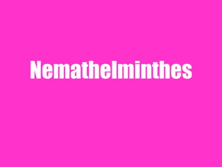 Nemathelminthes
 