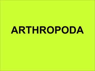 ARTHROPODA
 