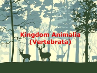 Kingdom Animalia
(Vertebrata)
 