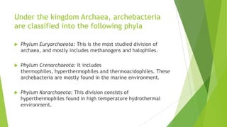 Archaebacteria Kingdom Facts