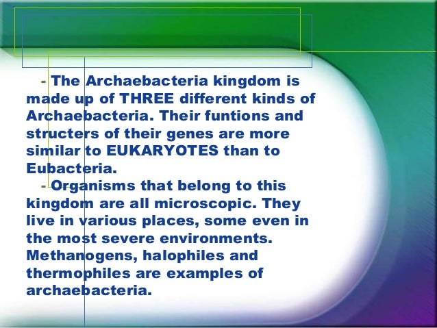 kingdom archaebacteria examples of archaebacteria