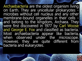 Archaebacteria are the oldest organism living
on Earth. They are unicellular prokaryotes -
microbes without cell nucleus and any other
membrane-bound organelles in their cells -
and belong to the kingdom, Archaea. They
were first discovered in 1977 by Carl Woose
and George E. Fox and classified as bacteria.
Most archaebacteria appear like bacteria,
when observed under the microscope.
However, they are quite different from
bacteria and eukaryotes.
 