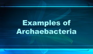 Examples of
Archaebacteria
 