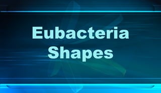 Eubacteria
Shapes
 