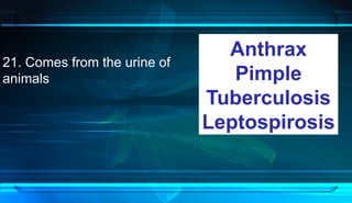 21. Comes from the urine of
animals
Anthrax
Pimple
Tuberculosis
Leptospirosis
 