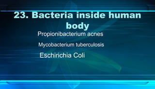 23. Bacteria inside human
body
Propionibacterium acnes
Mycobacterium tuberculosis
Eschirichia Coli
 