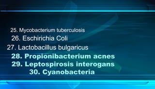 25. Mycobacterium tuberculosis
26. Eschirichia Coli
27. Lactobacillus bulgaricus
28. Propionibacterium acnes
29. Leptospirosis interogans
30. Cyanobacteria
 