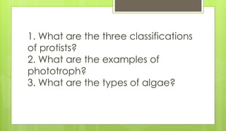 1. What are the three classifications
of protists?
2. What are the examples of
phototroph?
3. What are the types of algae?
 