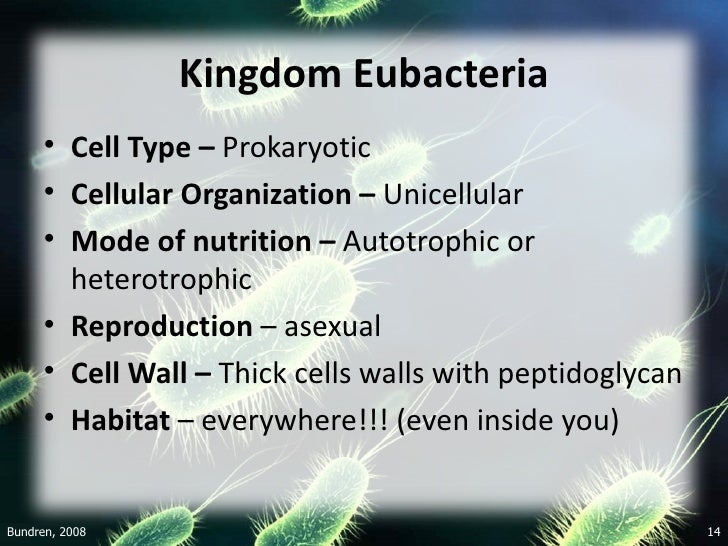 Kingdom Eubacteria Kingdom Eubacteria