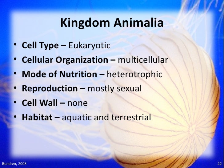 Kingdom Kingdom