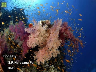 Done By: S.R.Narayana Pai XI-B 