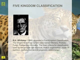 FIVE KINGDOM CLASSIFICATION R.H. Whittaker  (1969) proposed a Five Kingdom Classification. The kingdoms defined by him were named Monera, Protista, Fungi, Plantae and Animalia. The main criteria for classification used by him include cell structure, thallus organisation, mode of nutrition, reproduction and phylogenetic relationships.  