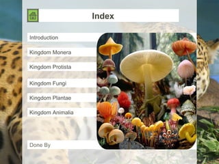 Index Introduction Kingdom Monera Kingdom Protista Kingdom Fungi Kingdom Plantae Kingdom Animalia Done By 