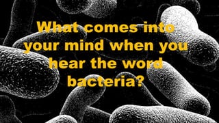 What comes into
your mind when you
hear the word
bacteria?
 