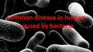Common disease in human
caused by bacteria
 
