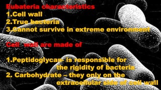 Eubateria characteristics
1.Cell wall
2.True bacteria
3.Cannot survive in extreme environment
Cell wall are made of
1.Peptidoglycan- is responsible for
the rigidity of bacteria
2. Carbohydrate – they only on the
extracellular side of cell wall
 