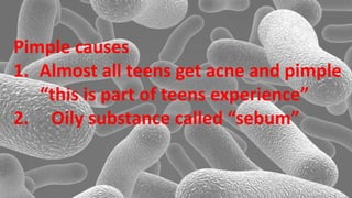 Pimple causes
1. Almost all teens get acne and pimple
“this is part of teens experience”
2. Oily substance called “sebum”
 